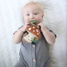 Itzy Ritzy Plush + Teether