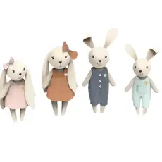 Speedy Monkey Rabbit Family