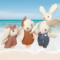 Speedy Monkey Rabbit Family