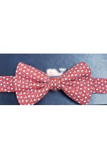 Youth Red Bow Tie