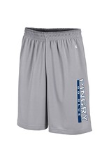 Mesh Shorts with Vertical PINGRY