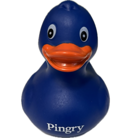 Pingry Rubber Duck