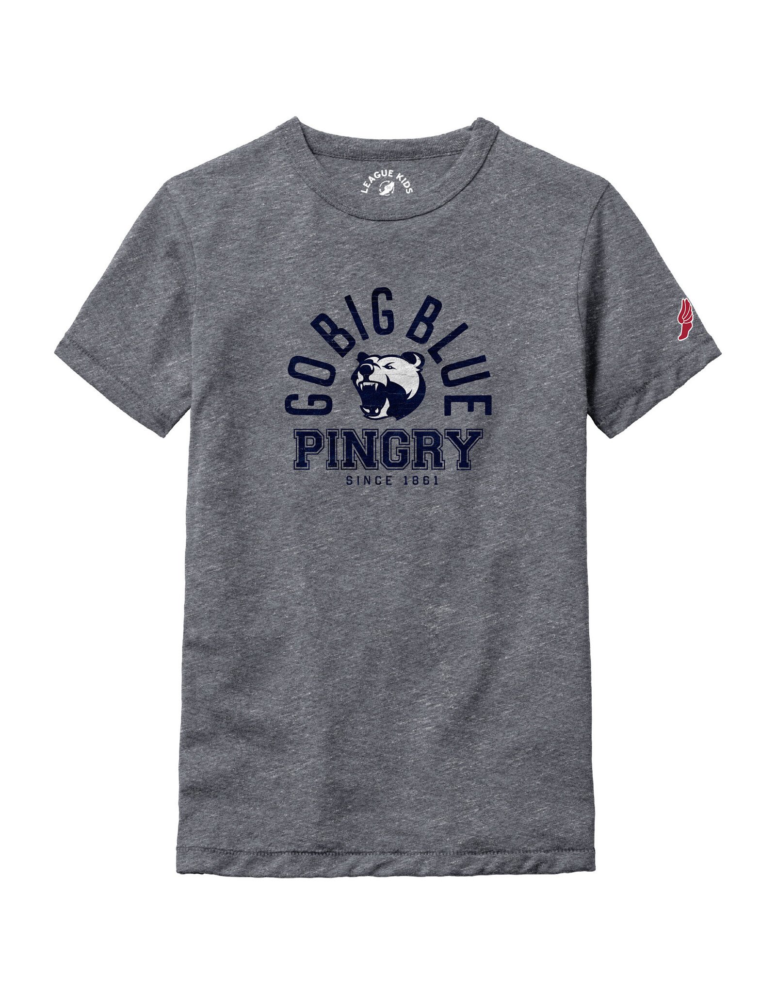 L2 Brand Youth Victory Falls Tee - Go Big Blue