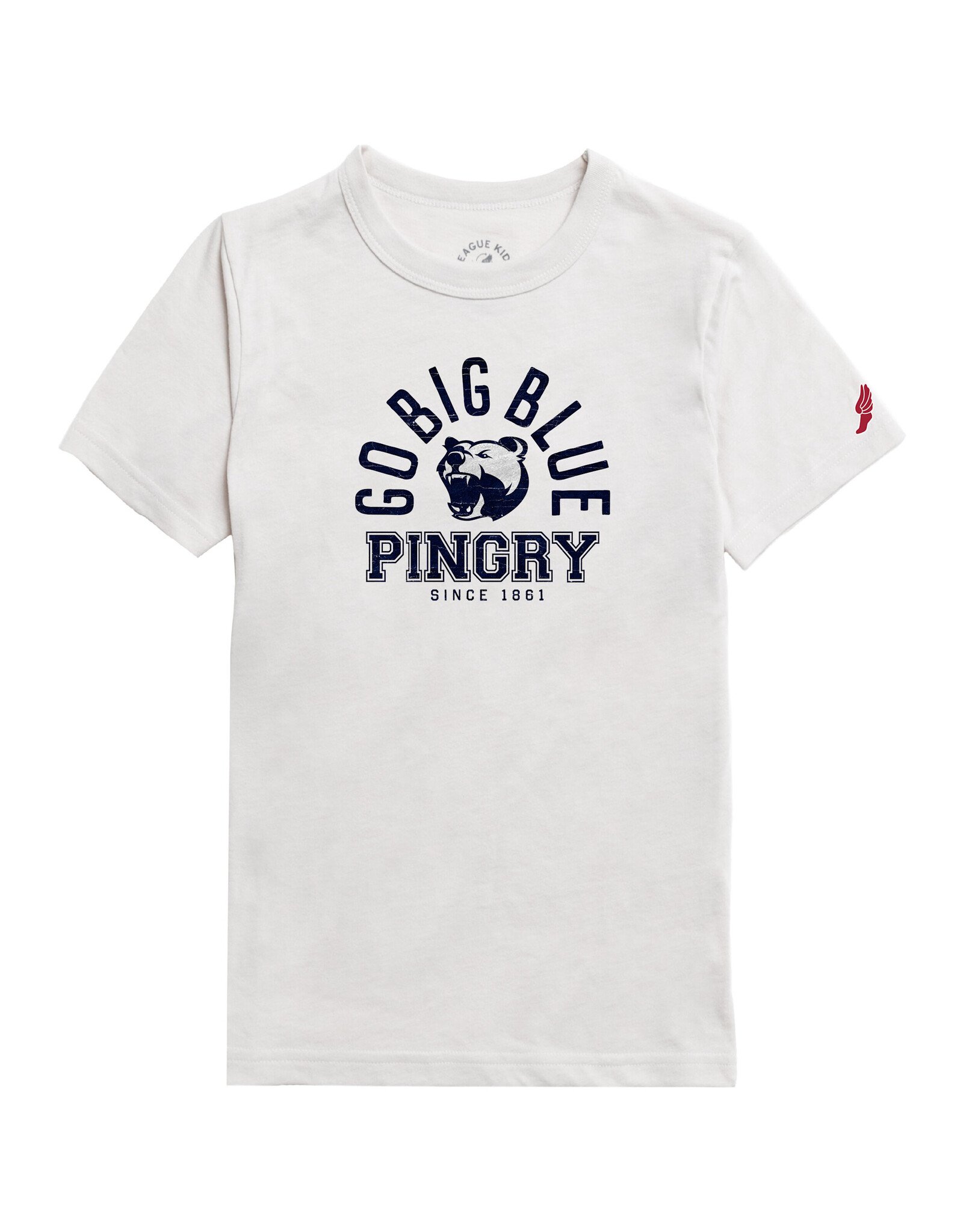 L2 Brand Youth Victory Falls Tee - Go Big Blue