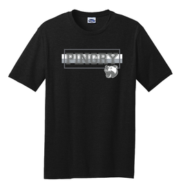 Unisex Soft T-shirt - Pingry Stripes