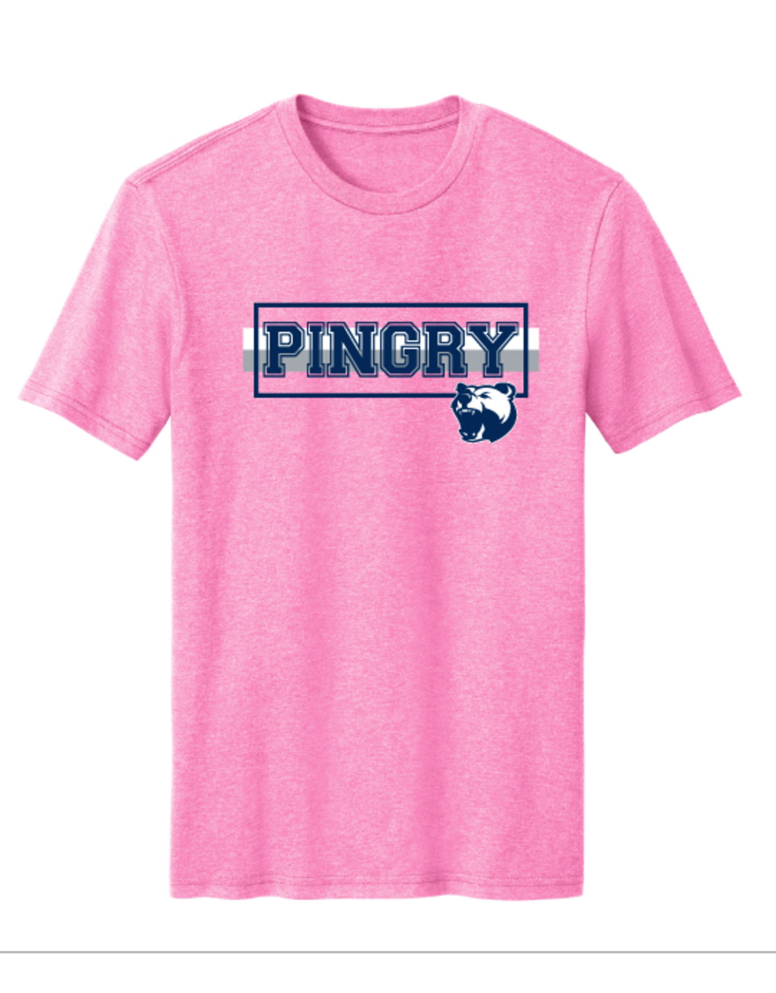 Unisex Soft T-shirt - Pingry Stripes