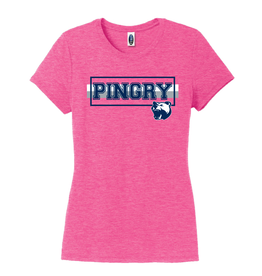 Ladies Tri-blend shirt -Bear Striped