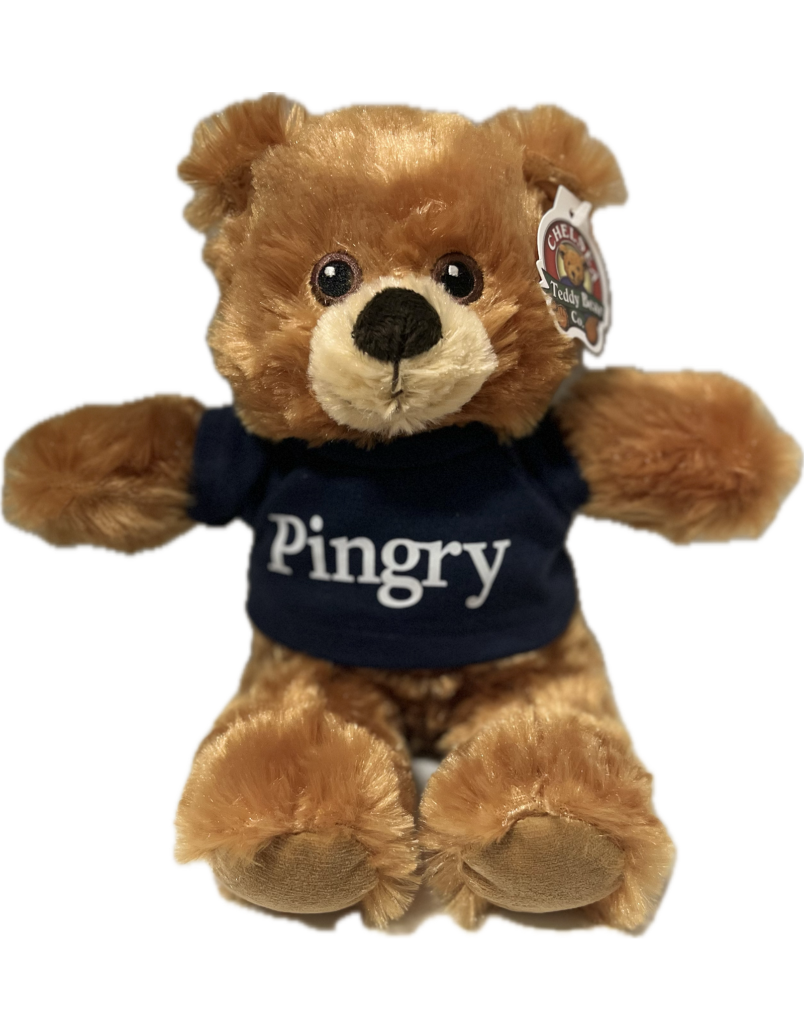 Brown Bear with Navy Tee