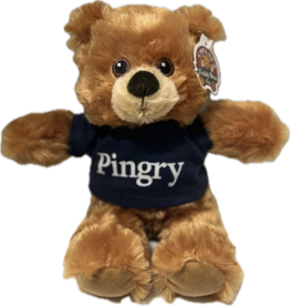 Brown Bear with Navy Tee