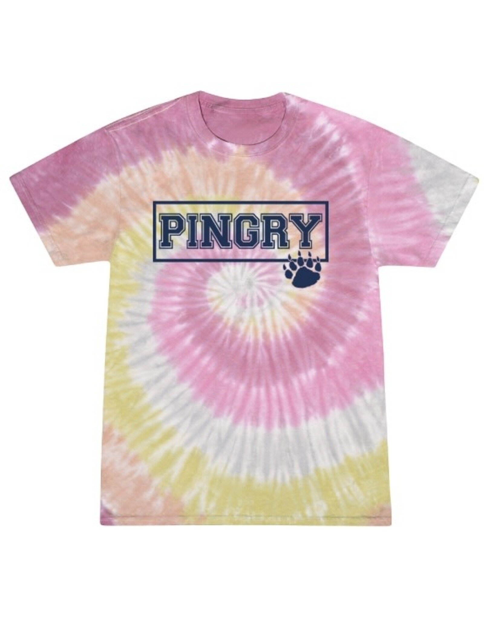 Youth Tie Dye Tee w/ Pingry Paw