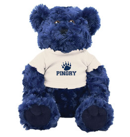 Blue Plush Bear with White T-shirt