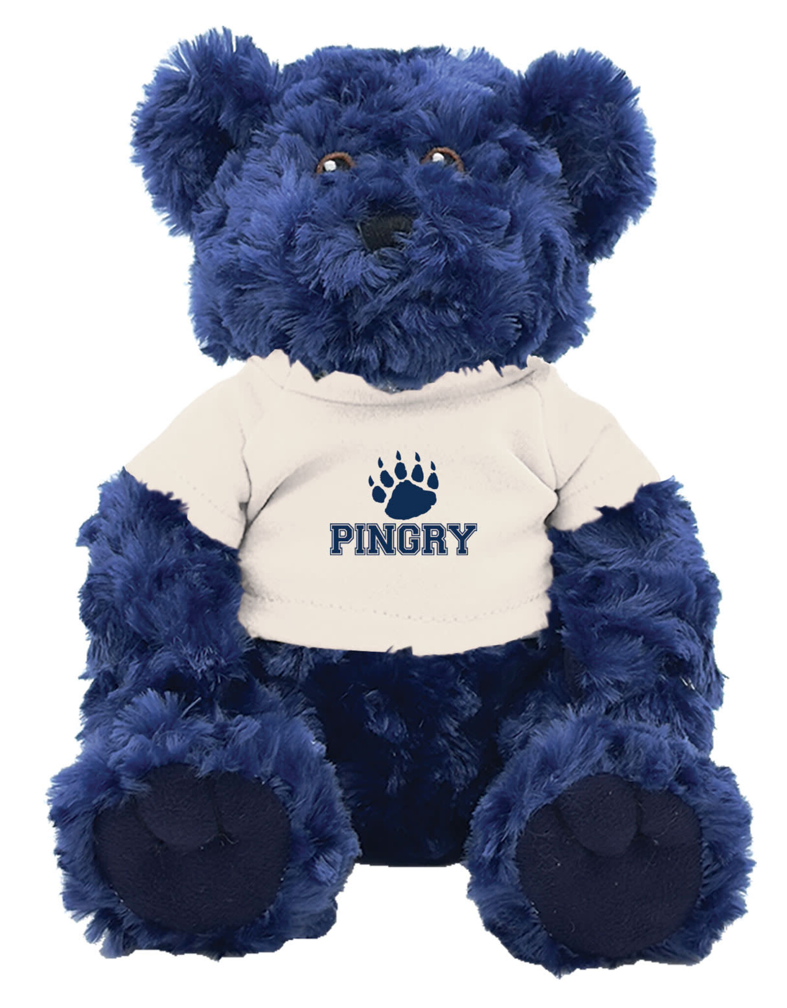 Blue Plush Bear with White T-shirt