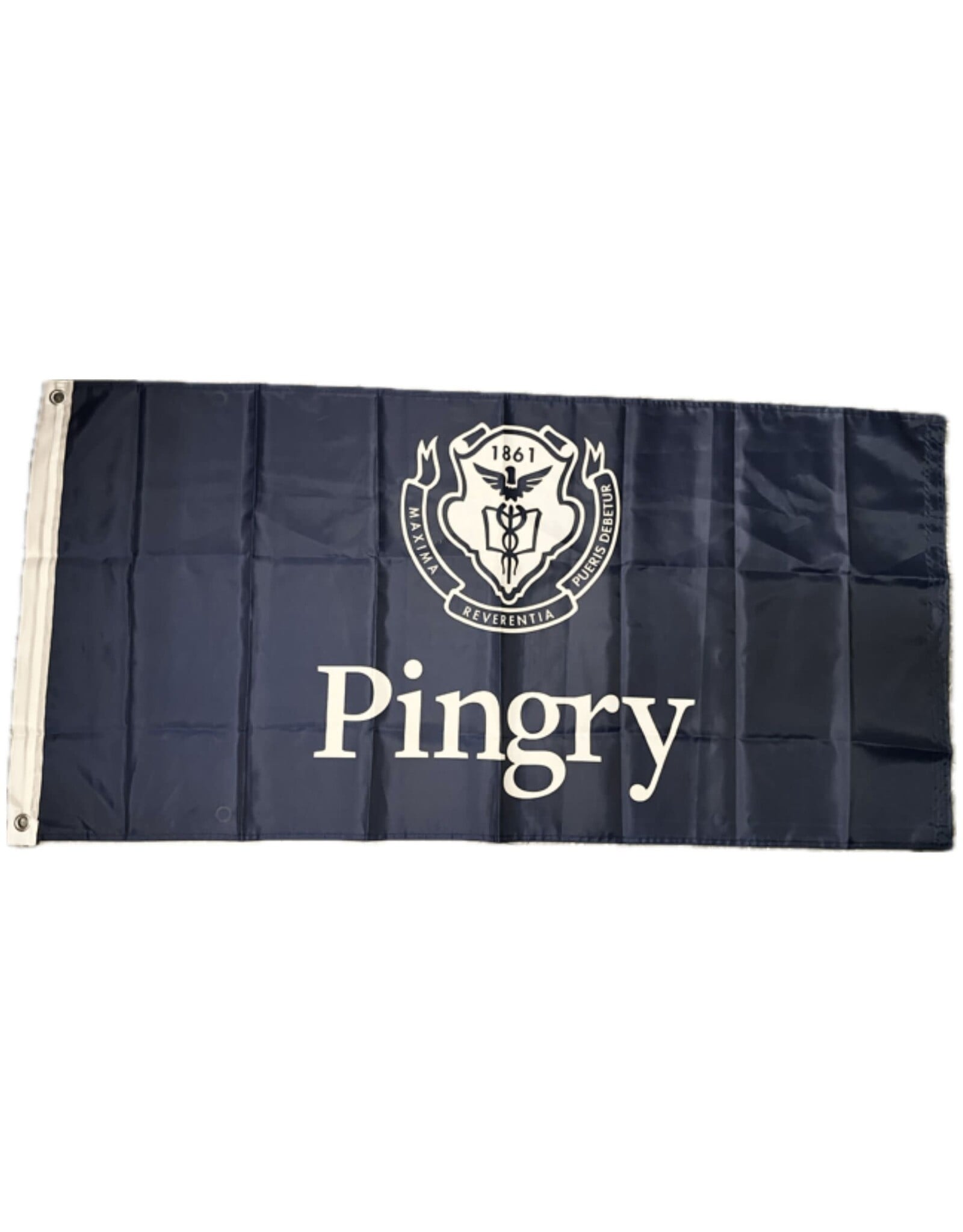 2' X 4' Pingry Flags
