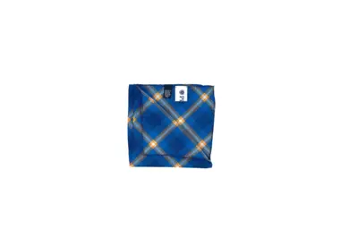 Official Pingry Tartan