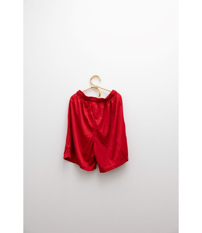 Alston's Embroidery PE Shorts - Red