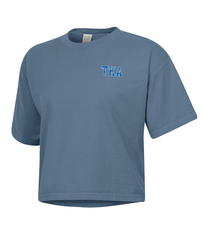 Comfort Wash 2025 Comfort Wash Boxy Tee Hanes Saltwater - Palm Trees