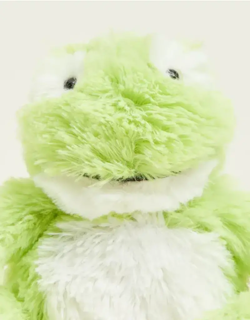 Warmies Frog Junior Warmies