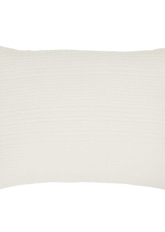 ARROWHEAD - CREAM - BIG PILLOW W/ INSERT (28" X 36")