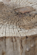 Rustics Side Table - Round