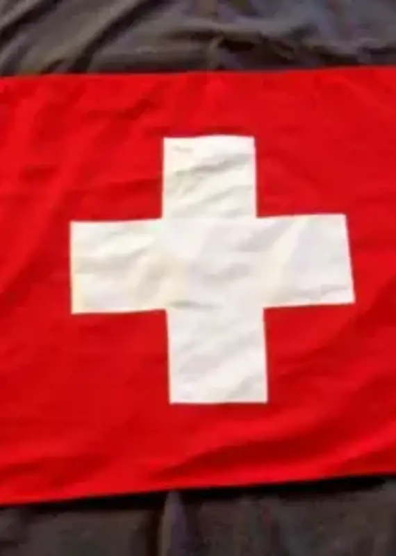 Framed Vintage Linen Swiss Flag - 42 x 22 w/ Frame