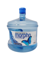 Morpho Eau de source Morpho 11.3 L