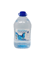 Morpho Eau de source Morpho 4 L en magasin