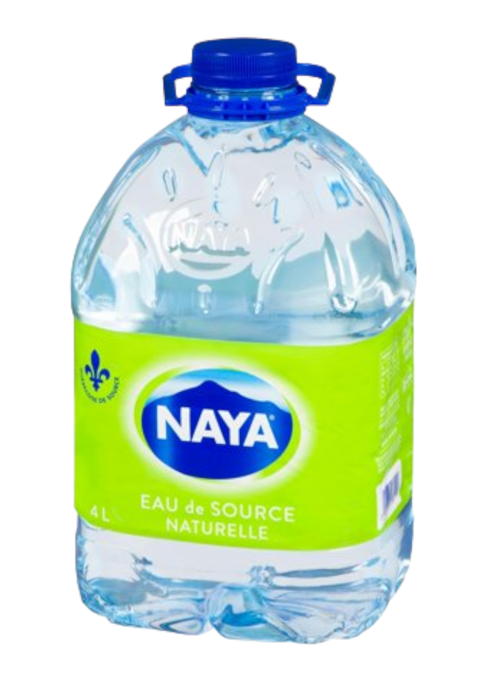 Naya Eau de source Naya 1 x 4L en magasin