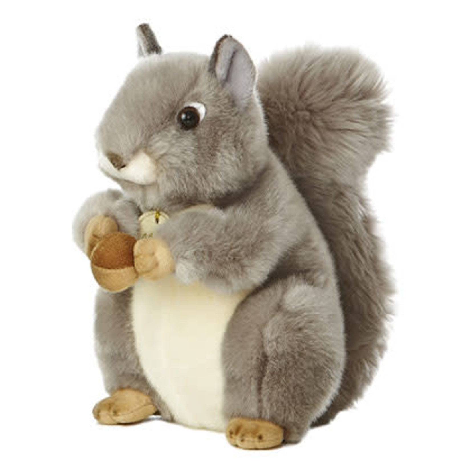 Grey Squirrel w/nut