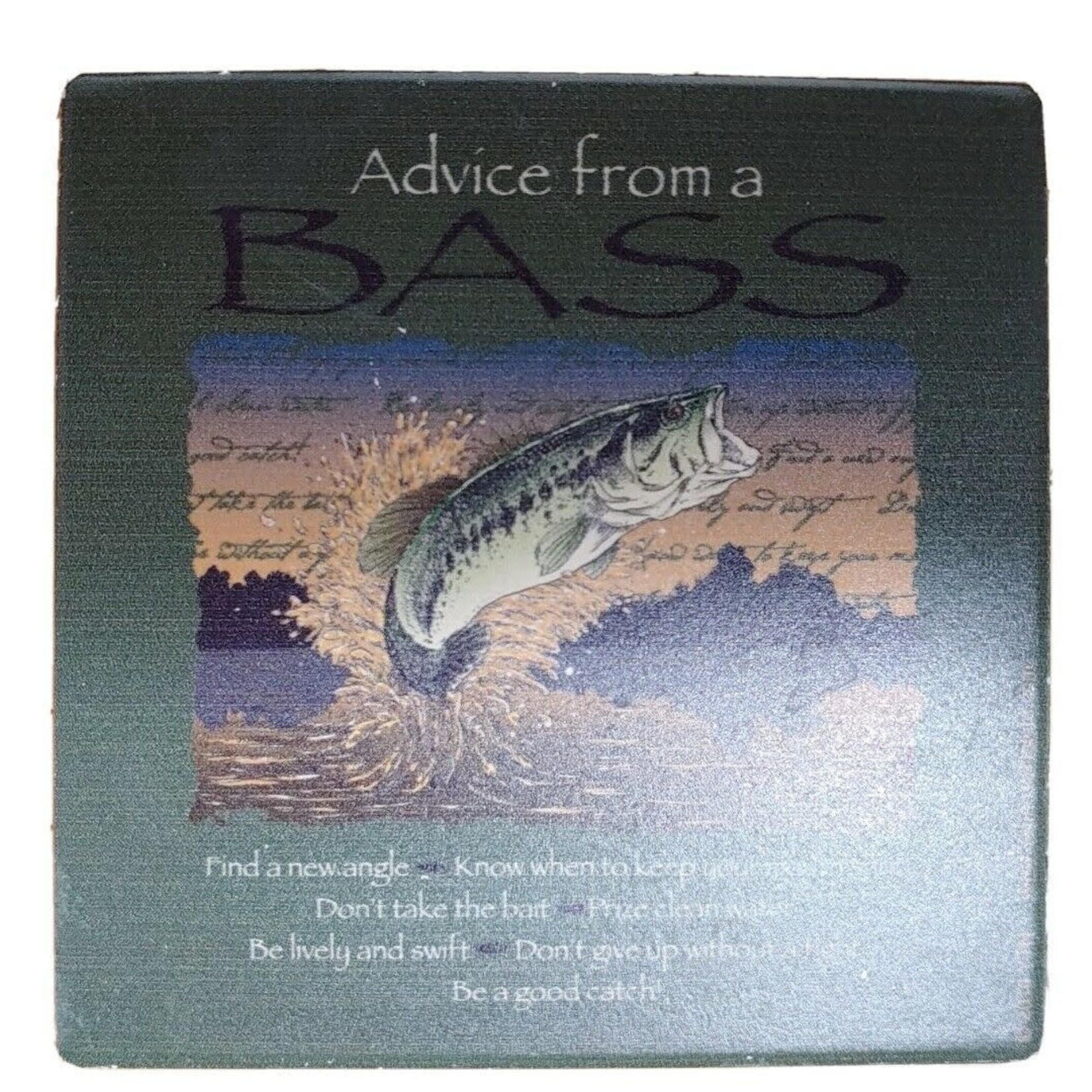 Advice from a Bass coaster