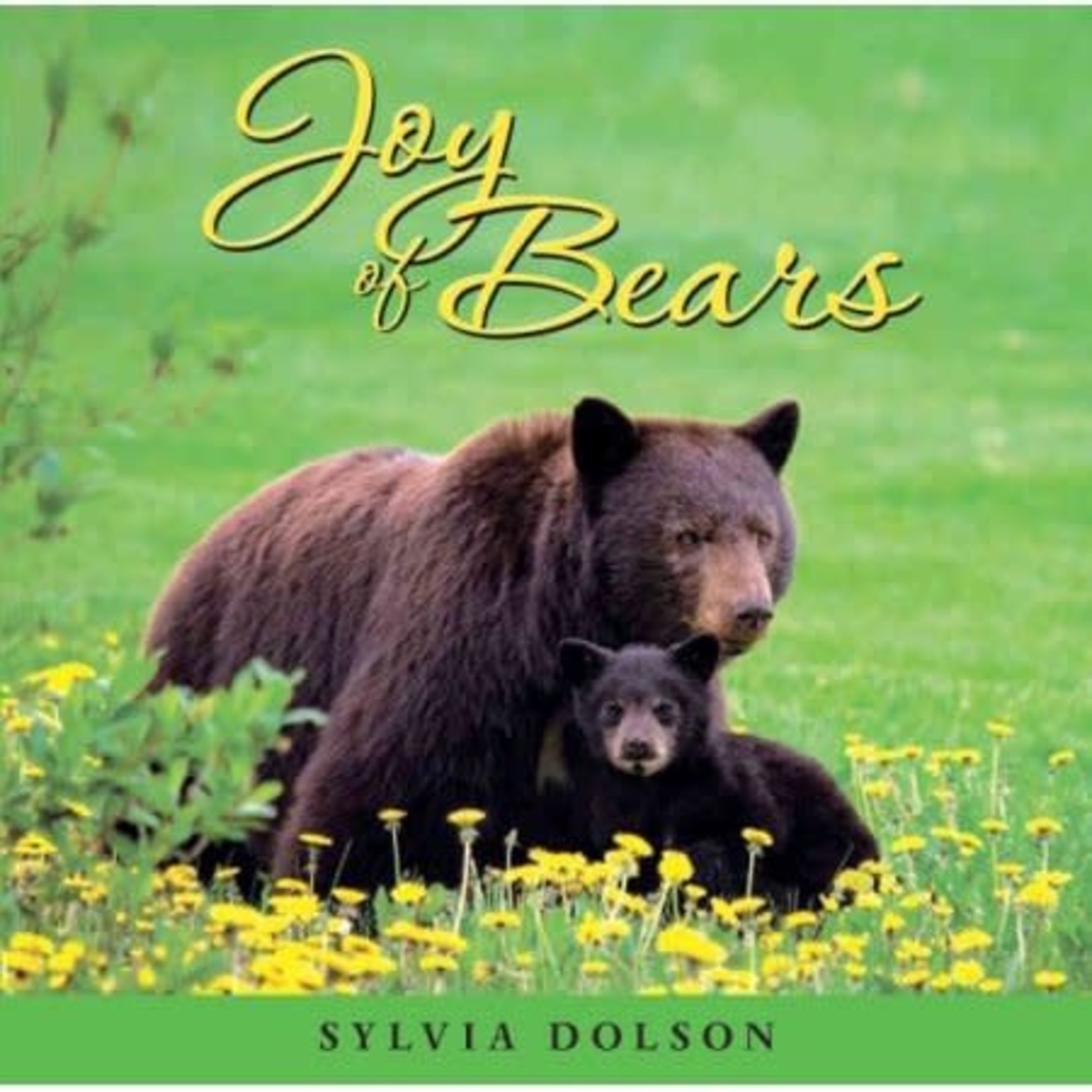 Joy of Bears book