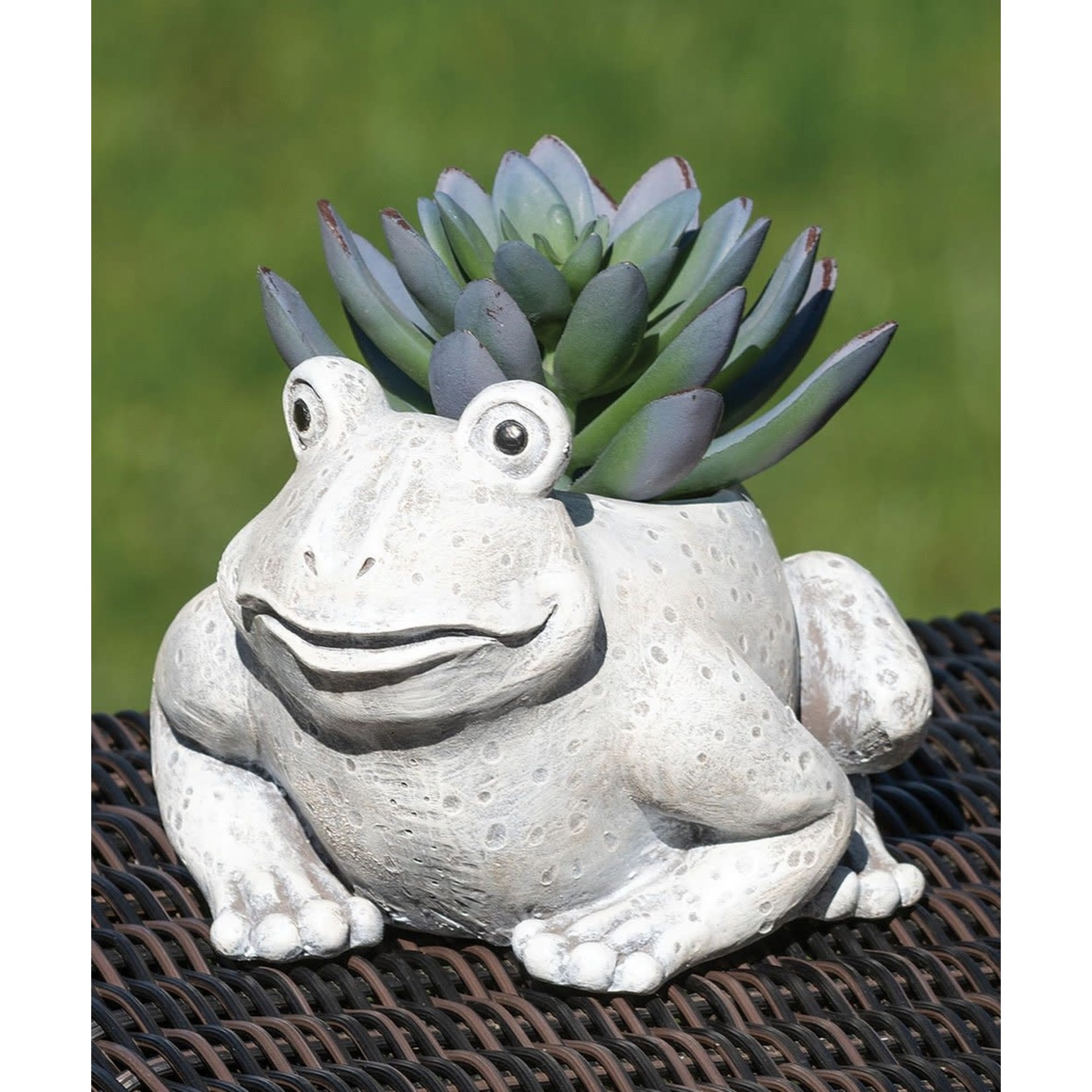 Mini pudgy frog planter