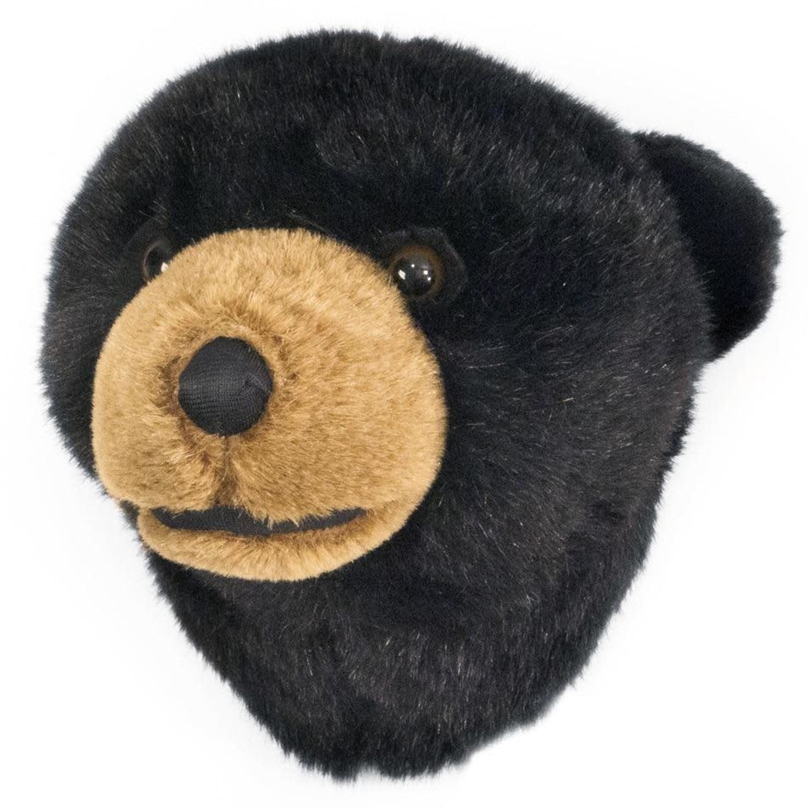 Black bear mini trophy