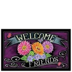 Welcome friends mat