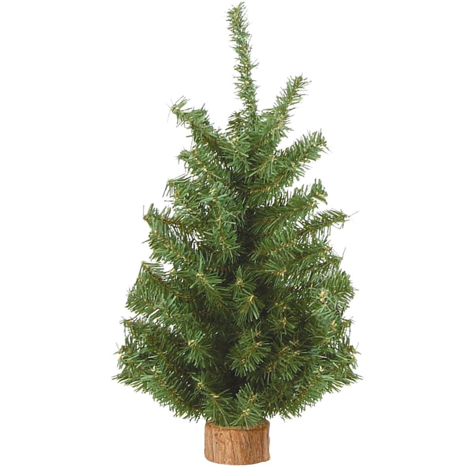 15" Canadian Pine tree