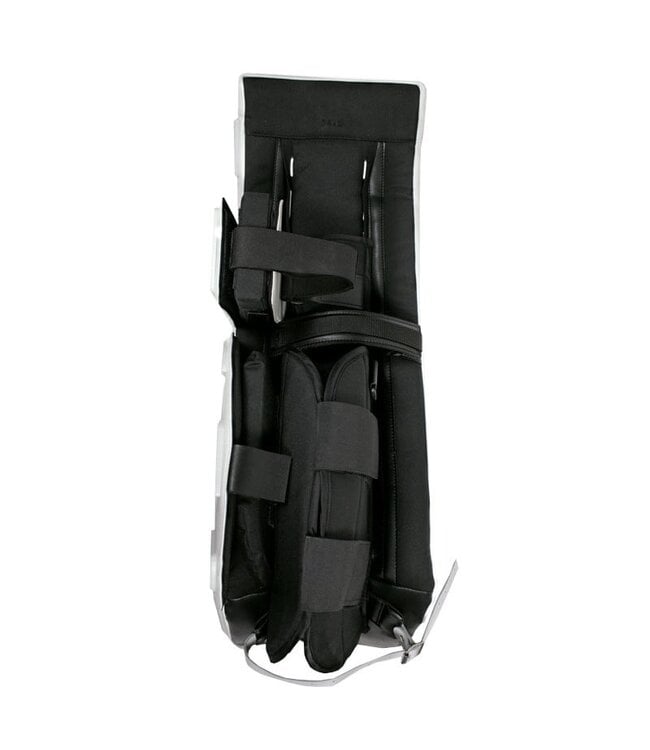 Ball Hockey Full Goalie Set W/ ICESKIN PRO