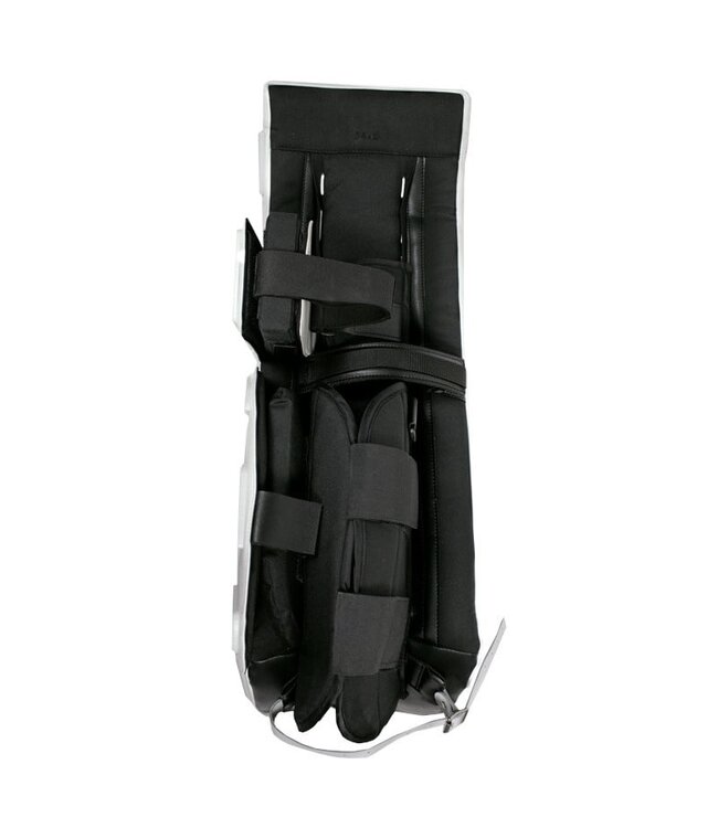 Ensemble complet de Gardien Dek avec ICESKIN PRO