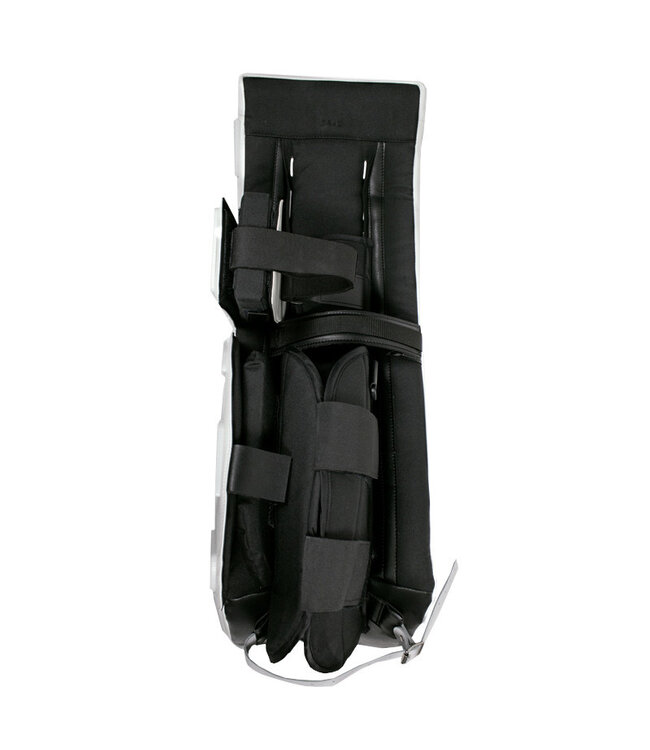 Goalie Pads with Iceskin Pro