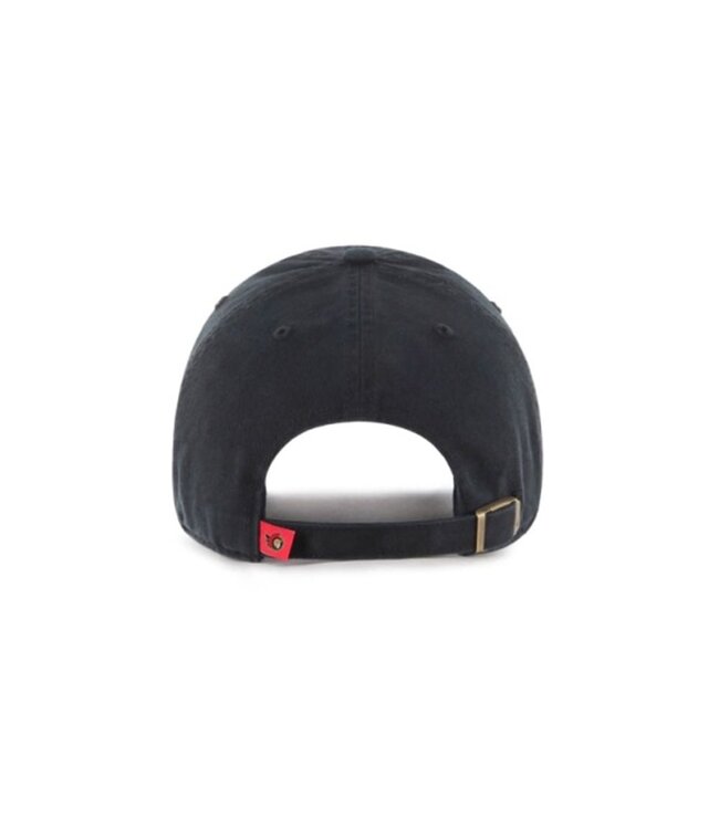 NHL Clean Up Ottawa Senators Cap