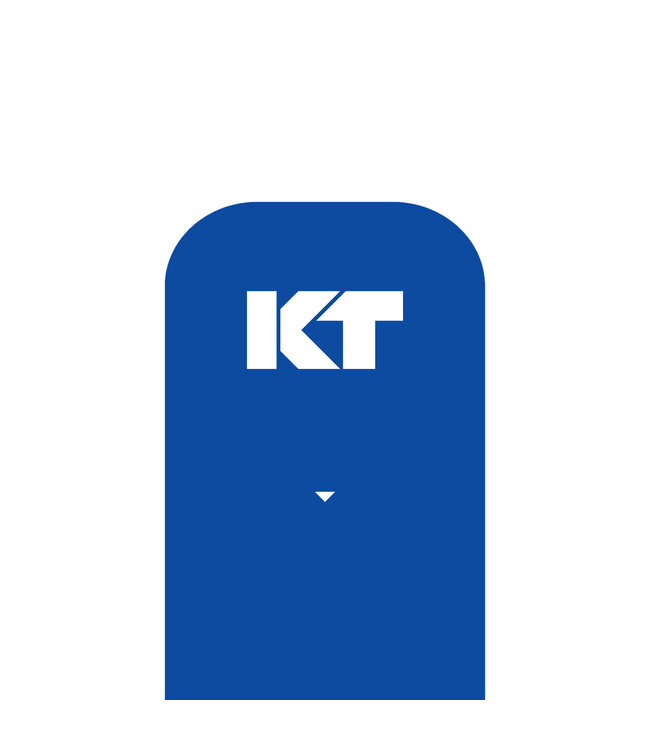 KT Tape 20 Precut 25cm Strips