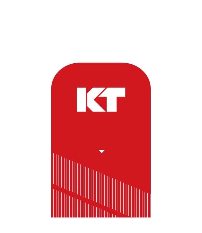 KT Tape PRO 20 Precut 25cm Strips
