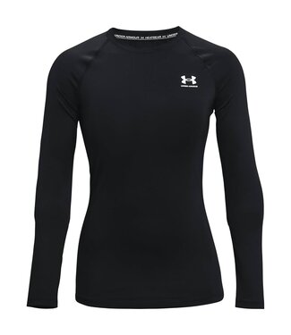 Under Armour Women's HeatGear Compression Long Sleeve Shirt