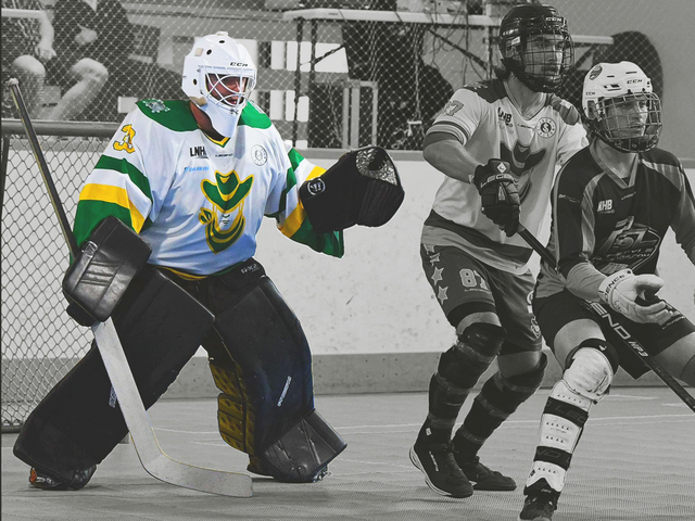 DEK HOCKEY GOALIE: AN ENTIRELY DIFFERENT SPORT!