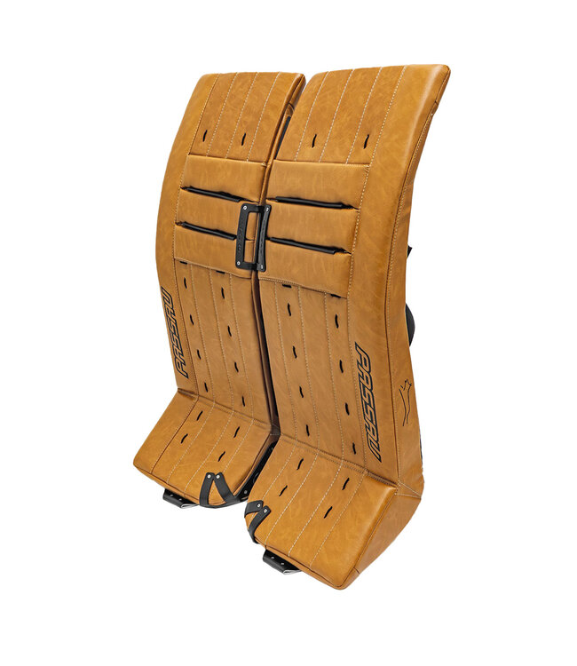 Ball Hockey Vintage Full Goalie Set W/ ICESKIN PRO