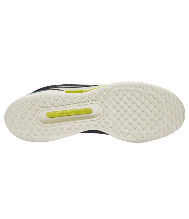 NikeCourt Zoom Pro Men's Shoes