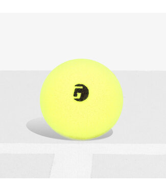 Gamma Librarian Foam Pickleball (6 PK)