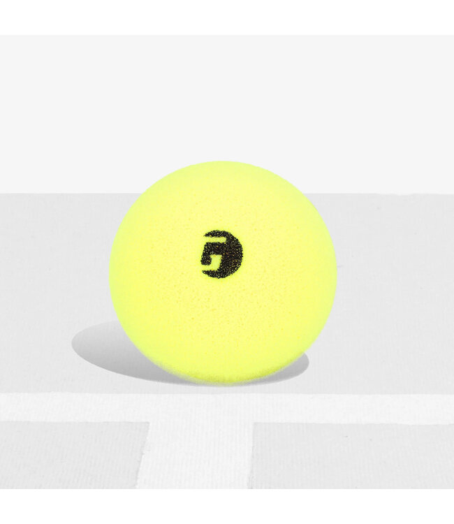 Librarian Foam Pickleball (6 PK)