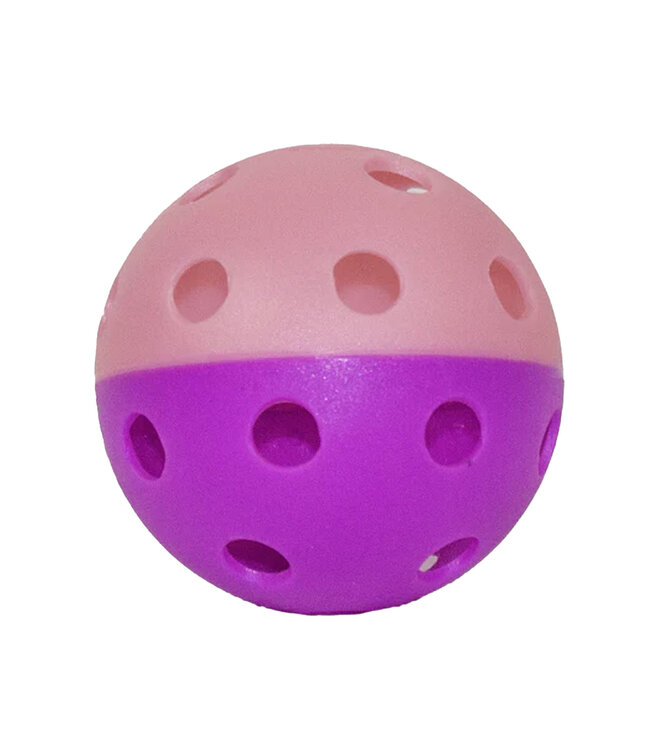 Balles d'Entraînement 2 couleur Intérieur (6 PQ)