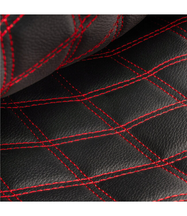 Selkirk LABS Paddle Collectors Case