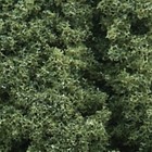 Woodland Scenics . WOO Foliage Clusters Medium Green