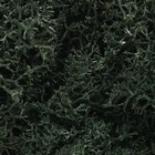 Woodland Scenics . WOO Lichen Dark Green